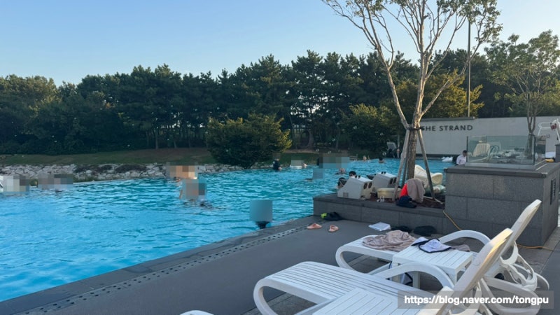 Review of Nest Hotel Incheon Yeongjongdo Pool | Strand All-Inclusive Night Swim