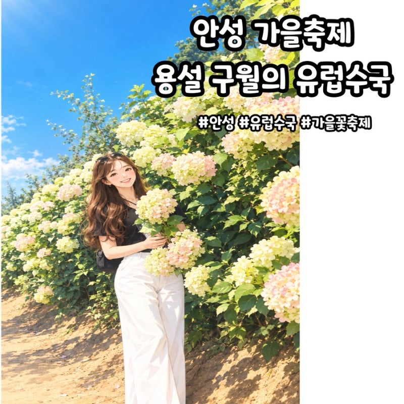 안성 수국축제 용설 구월의 유럽수국 가을꽃 구경 다녀온 후기
