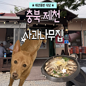 충북 제천 애견동반 식당 찾는다면? 사과나무집 다녀온 후기 (진도믹스 가능!)