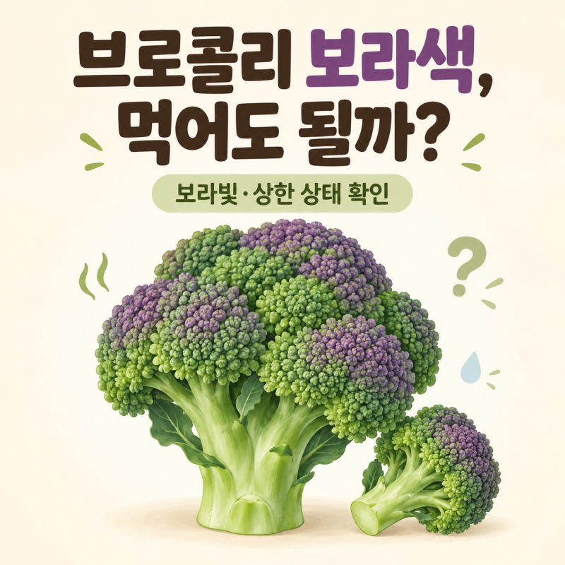 브로콜리가 보라색으로 변했는데 먹어도 될까? 보라빛과 상한 상태 확인 기준