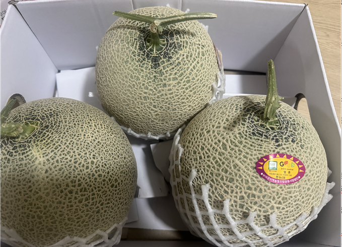 [굿뜨래몰] 부여조공, 굿뜨래 멜론 8kg