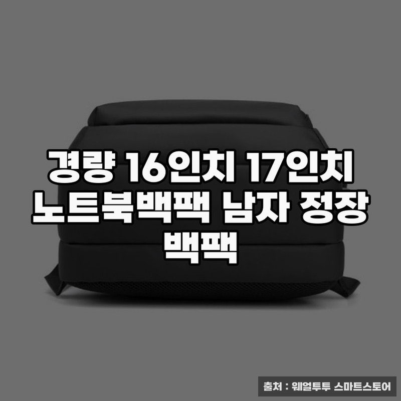 30대 남자 백팩 경량 정장 출근 가방