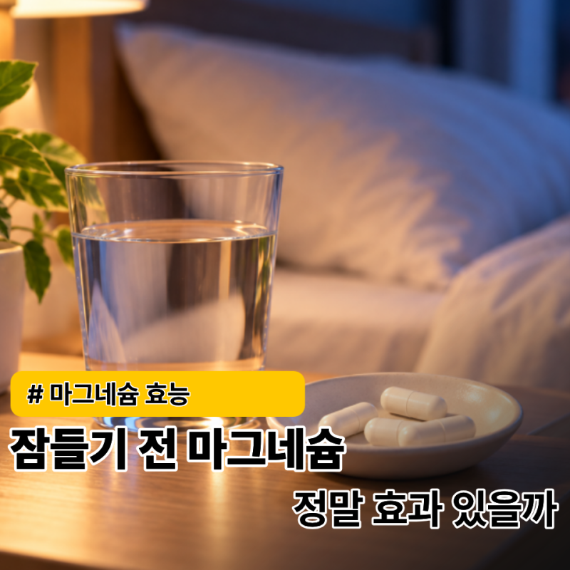마그네슘 효능 수면에 정말 도움이 될까? 잠들기 전 궁금한 "이것"