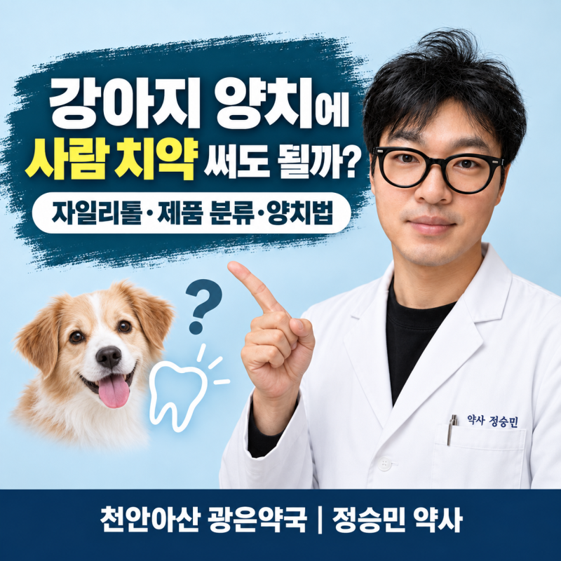 강아지 양치에 사람 치약을 써도 될까요? 자일리톨 위험과 반려동물 치약 선택법 _천안·아산....