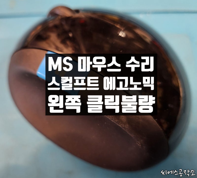 마이크로소프트 스컬프트 에고노믹 마우스수리