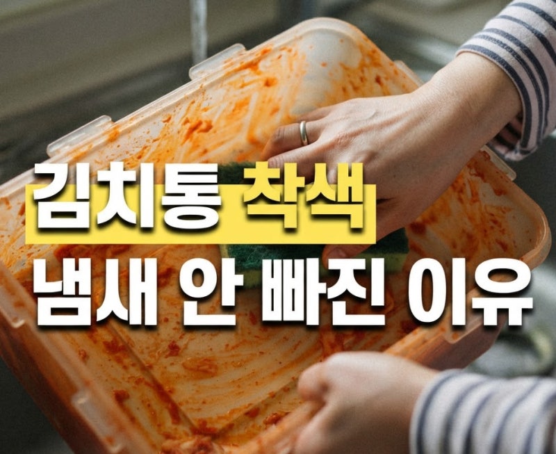 김치통 착색과 냄새, 안 빠지는 이유부터