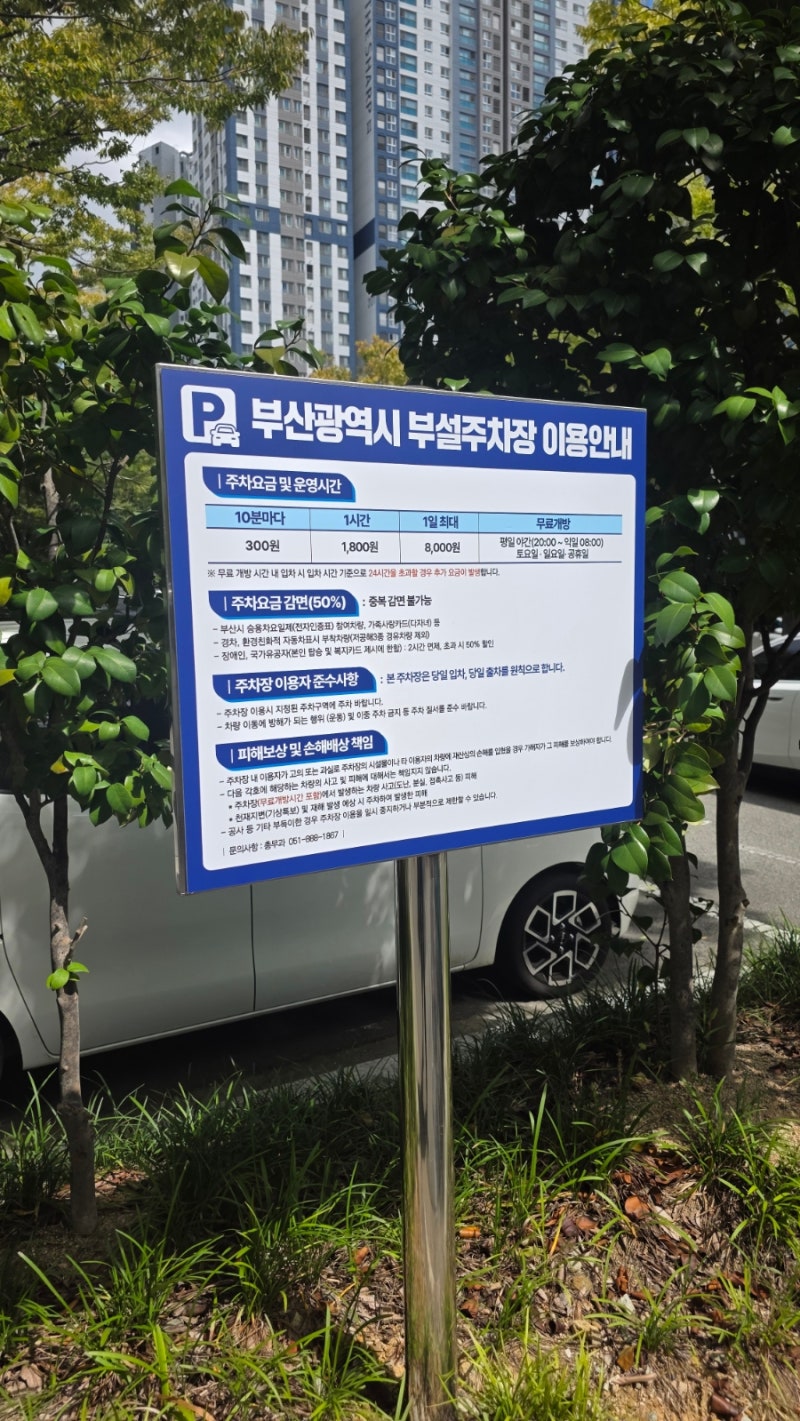 부산시청 공영주차장 요금 무료 개방 시간 총정리 (사직구장 롯데자이언츠 직관 꿀팁)