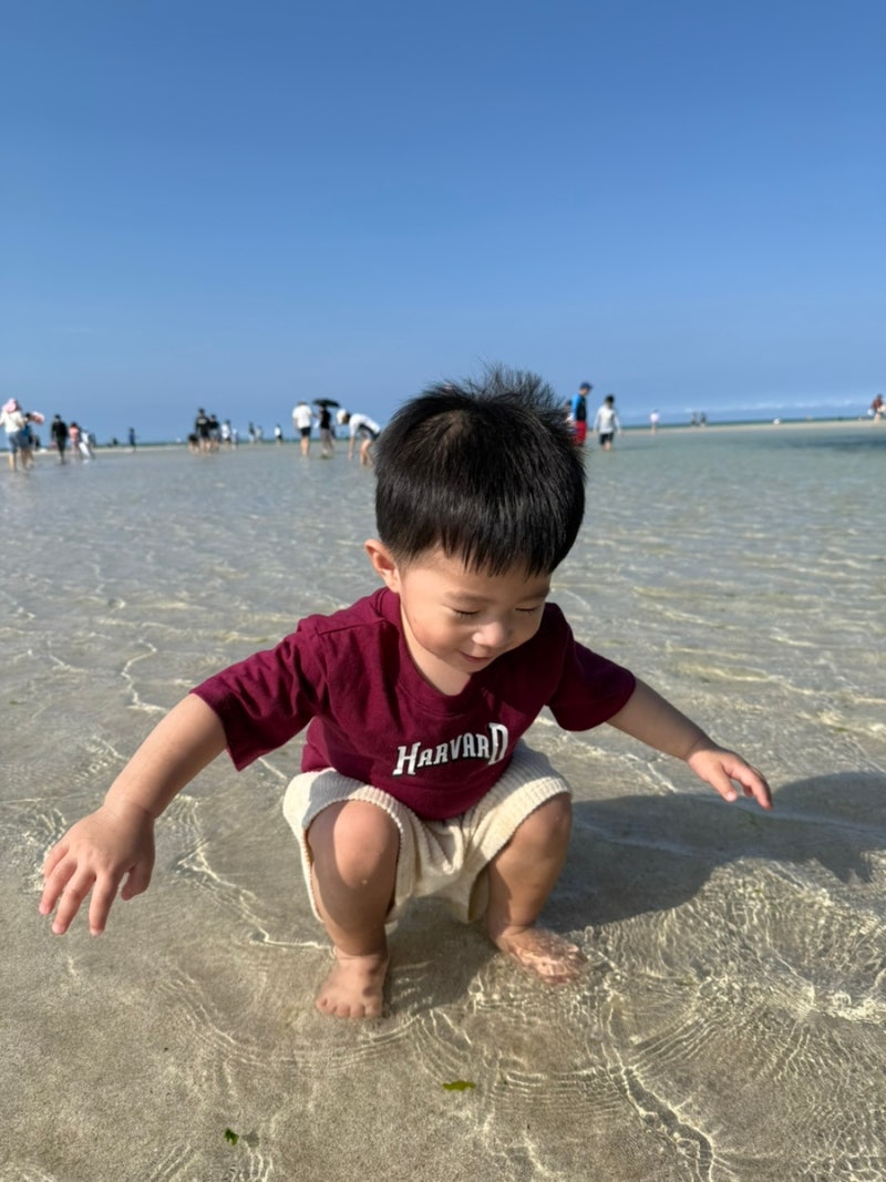 [회고] 둘째 임신 26주 제주 태교여행 2편｜20개월 아기와 제주 함덕해수욕장·소노벨 제주