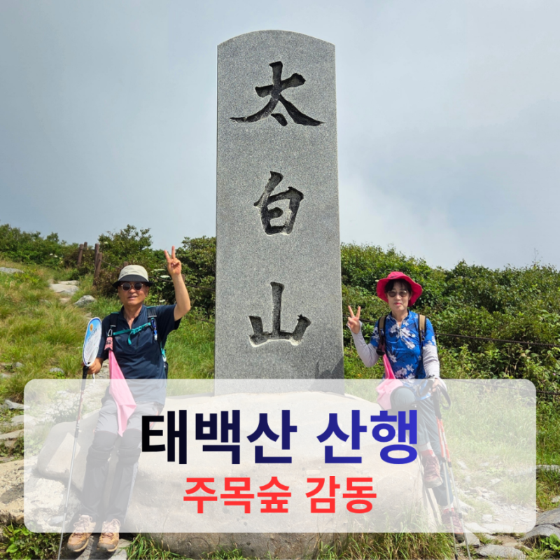 태백산 등산코스 후기 | 유일사 코스 따라 천제단·장군봉·정상석까지
