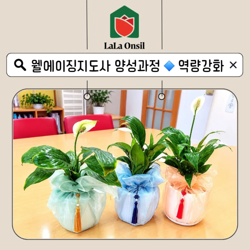 전남광주 역량강화 원예치유ㅣ광주동구노인종합복지관: 웰에이징지도사 양성 심화과정 마....