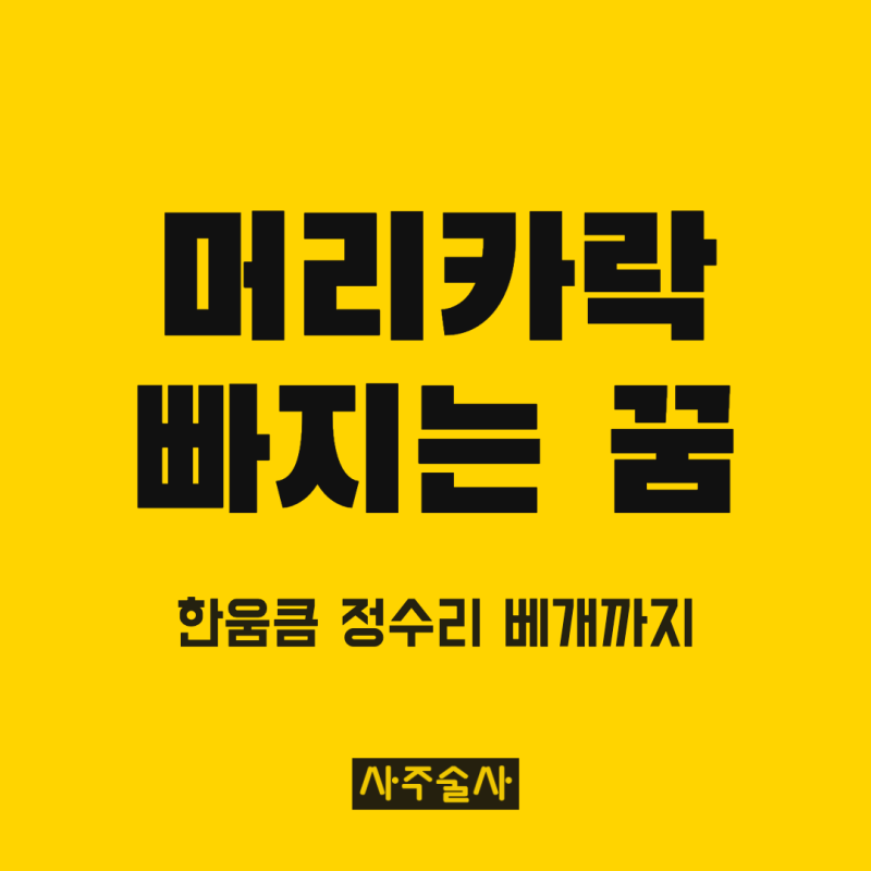 머리카락 빠지는 꿈 해몽, 한움큼 빠지는 꿈 정수리 탈모 꿈 상황별 뜻