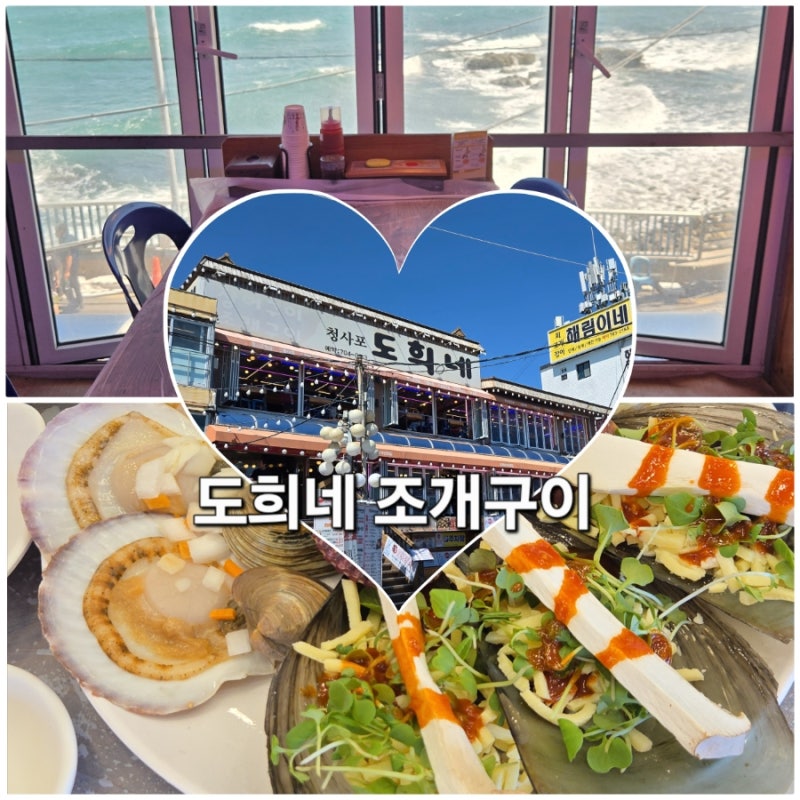 청사포 조개구이 맛집 도희네 청사포 횟집 애견동반 주차 가격 예약