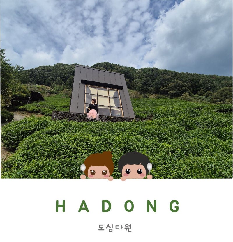 [하동 가볼만한곳 추천] 힐링 가득한 녹차밭 카페 도심다원 솔직후기