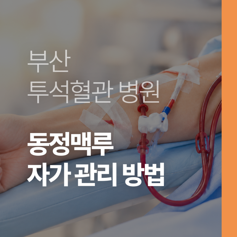 부산 투석혈관 동정맥루 집에서 하는 관리법