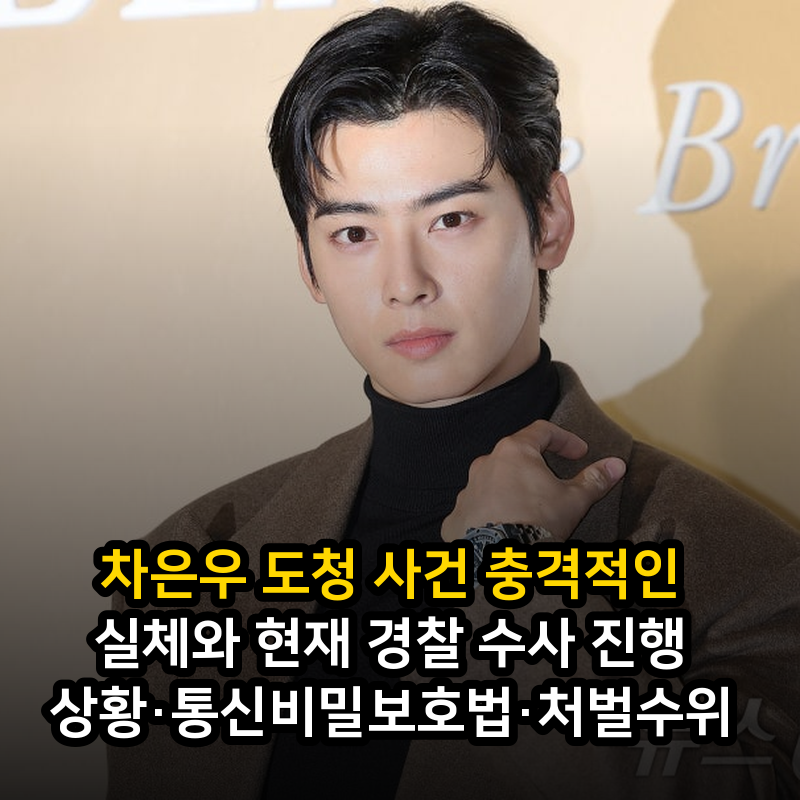 차은우 도청 사건 충격적인 실체와 현재 경찰 수사 진행 상황·통신비밀보호법·처벌수위