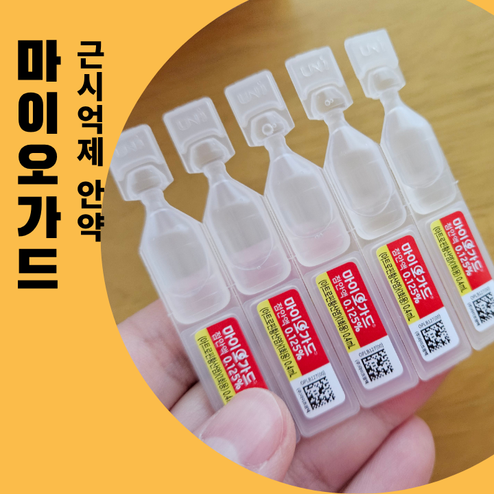 근시억제안약 마이오가드 처방받았습니다.
