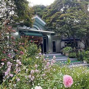 [경기/양평] 내추럴 가든 529, 레스토랑 예약, 가격, 주차까지 내 돈 내산 꼼꼼 후기
