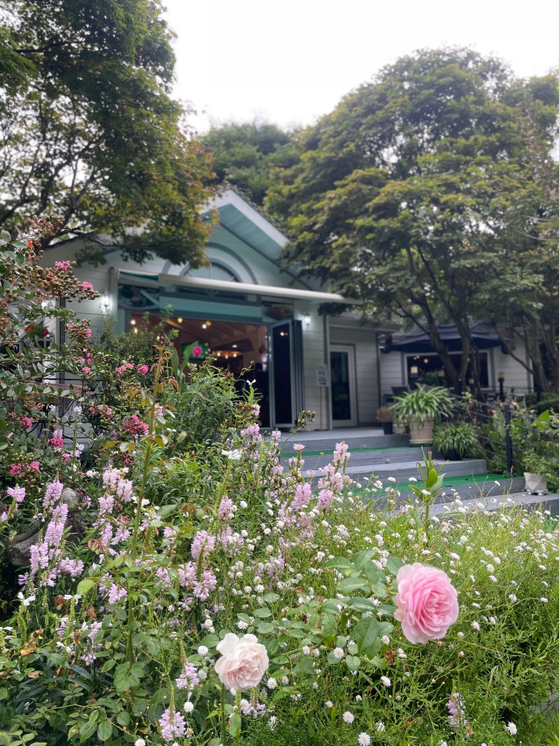 [경기/양평] 내추럴 가든 529, 레스토랑 예약, 가격, 주차까지 내 돈 내산 꼼꼼 후기