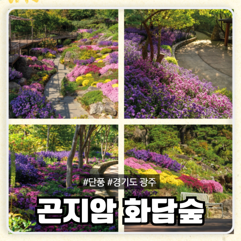 경기도 광주 곤지암 화담숲 단풍 구경 예약, 이용 요금, 모노레일 정보 총정리