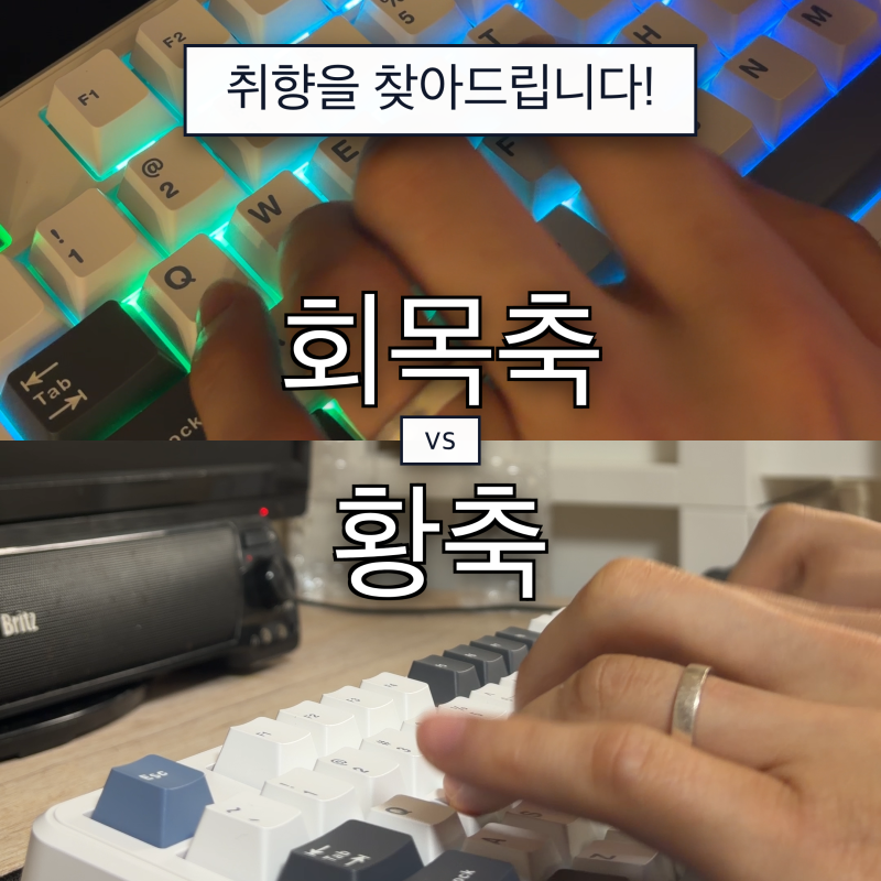 독거미 AULA F87 회목축 vs 황축 비교 (실타건 소리와 손맛 차이)