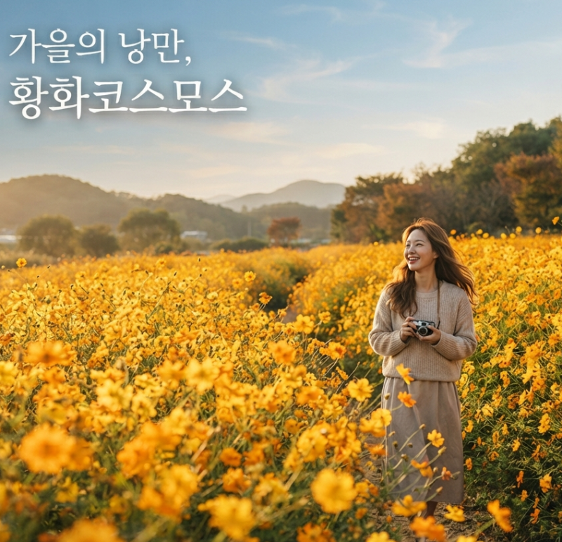 황화코스모스 개화시기와 예쁜 명소, 꽃말부터 씨앗 파종 시기까지 총정리