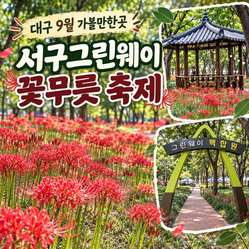 대구 9월 가볼만한곳｜가을 꽃구경 명소 서구그린웨이 꽃무릇 축제 가을 산책 후기