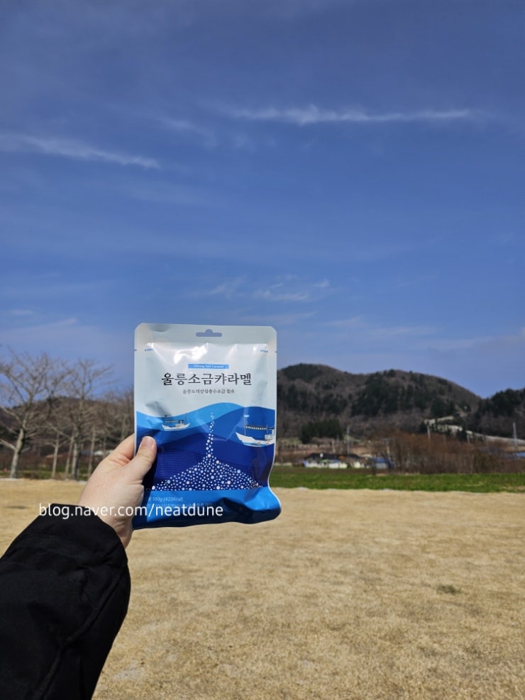 국내 1일 여행자보험 당일치기 가입 후기｜KB손해보험 당일 보험료 9,564원