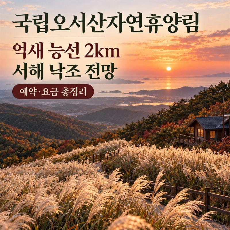 휴양림 65편 / 국립오서산자연휴양림 예약 방법 · 요금 총정리 (억새 능선 2km · 서해 낙조 전....