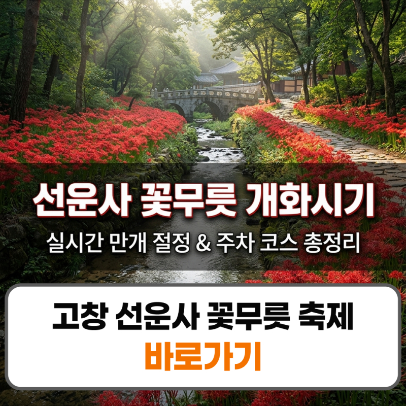 고창 선운사 꽃무릇 축제 실시간 개화시기 만개 주차