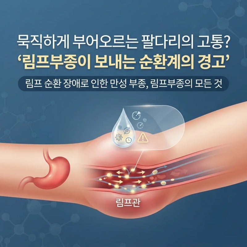 묵직하게 부어오르는 팔다리의 고통? 림프부종이 보내는 순환계의 경고