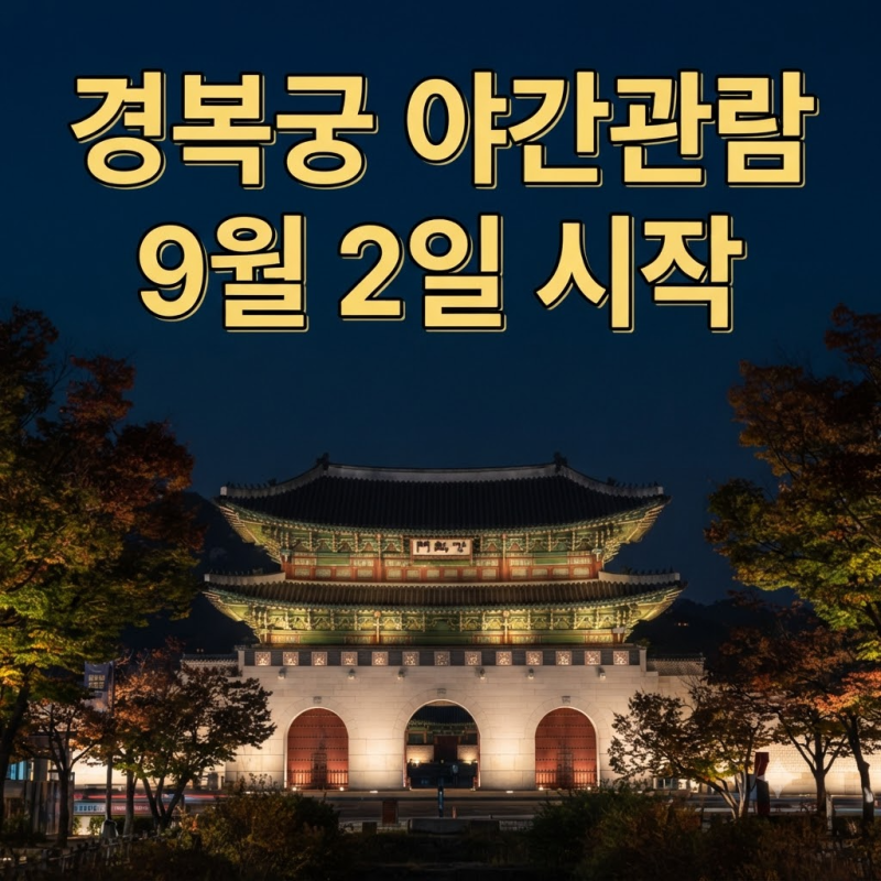 2026년 하반기 경복궁 야간관람 티켓 가격, 예매처 및 무료입장 대상 가이드