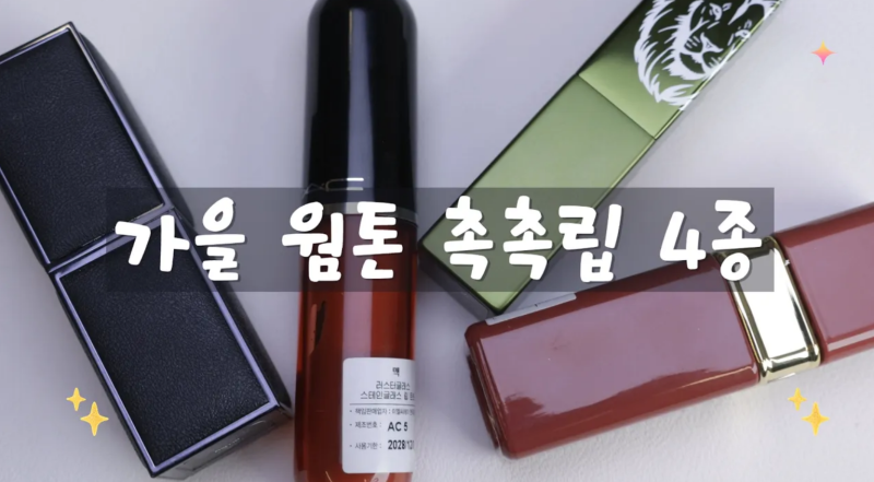 가을 웜톤 촉촉한 립 추천 샹테카이·톰포드·맥·돌체앤가바나 글로우 립 4종