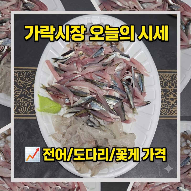 오늘의 가락시장 수산물 시세 및 온누리상품권 환급 팁 (5시 마감 주의!)