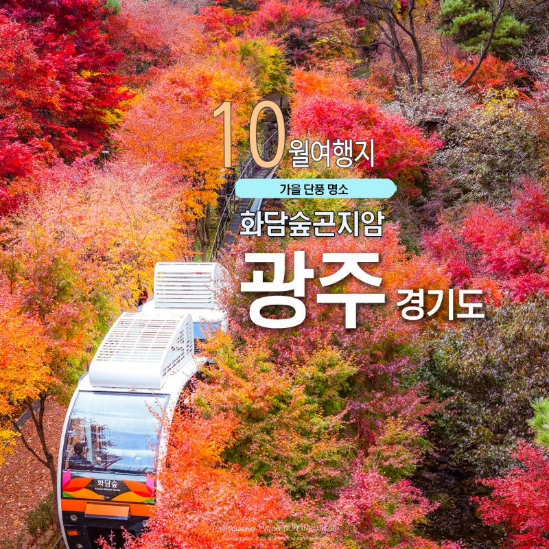 10월 가을 단풍 명소 경기도 광주 곤지암 화담숲 사전 예매 방법