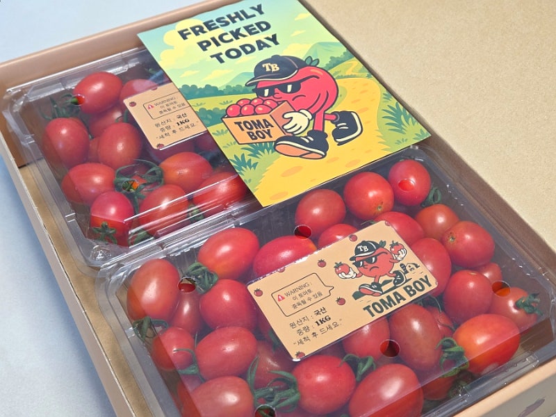 산지직송 대추방울토마토 찐맛집 토마보이 보관방법,토마토마리네이드 레시피