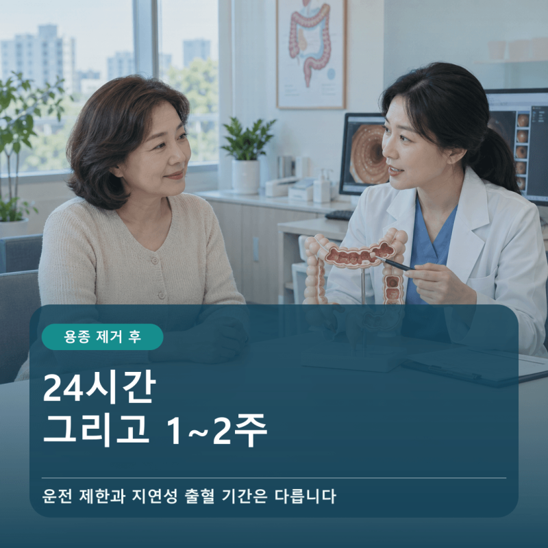 대장내시경 용종 제거 후 술·커피·운동 언제부터? 24시간과 1~2주 기준