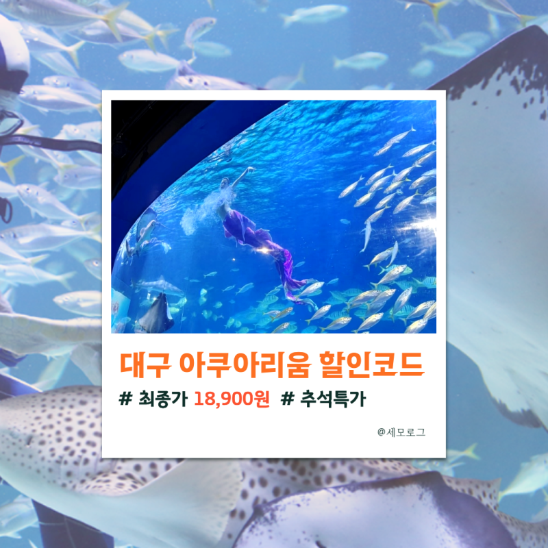 대구 아쿠아리움 할인 입장권 가격 비교 (~10/11일까지) 최종가 18,900원에 예매