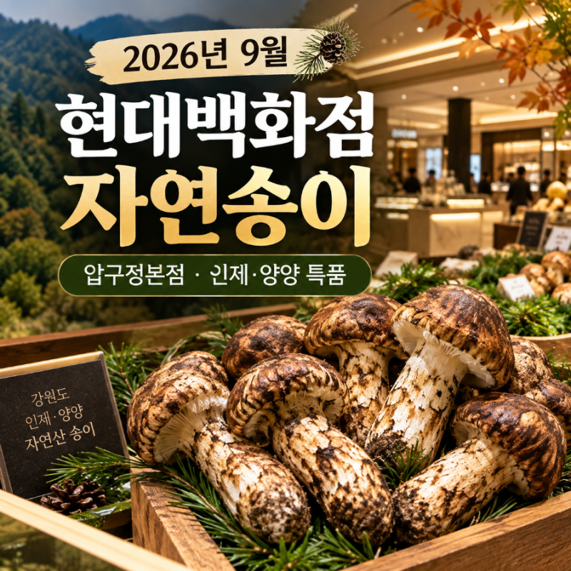 2026년 9월 16일 첫 출하! 압구정 현대백화점 식품관 자연산 송이버섯 1kg 가격이 150만원?