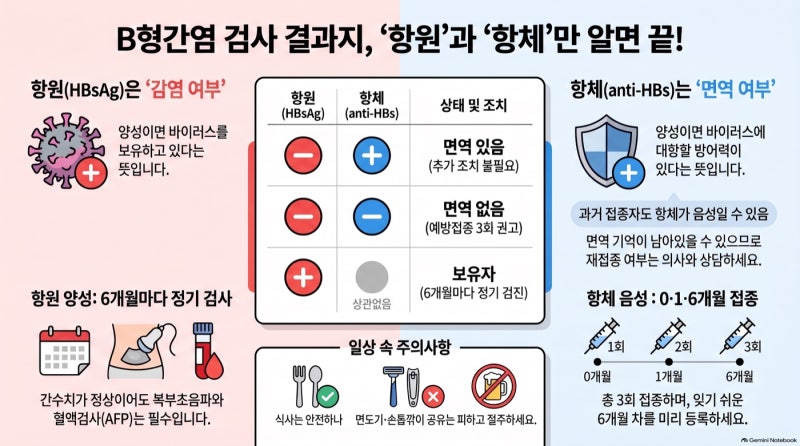 B형간염 '항체 없음' 나왔다면 — 접종 3회, 지금이 기회입니다