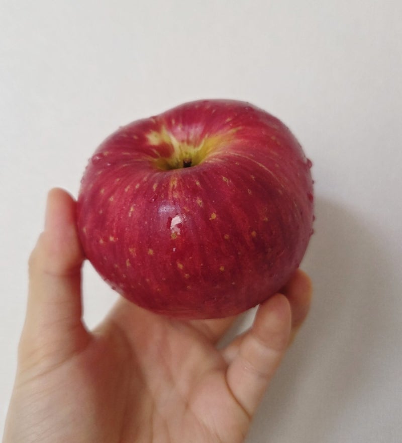 홍로사과 아삭하고 달콤한 가을사과 가정용 5kg 직접 먹어본 후기