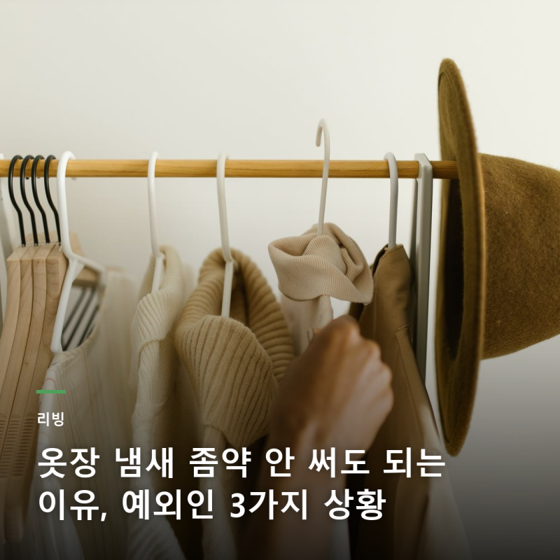 옷장 냄새 좀약 안 써도 되는 이유, 예외인 3가지 상황