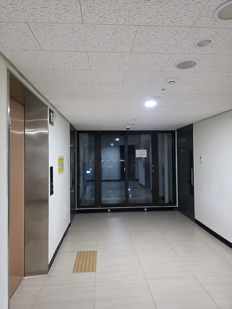 제주 가성비 숙소 추천｜평일 5만원대 힐스테이트 제주, 연동 밤거리까지 즐긴 1박