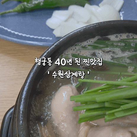 행궁동 맛집 수원삼계탕, 엄마와 함께 먹은 능이삼계탕과 닭곰탕 후기