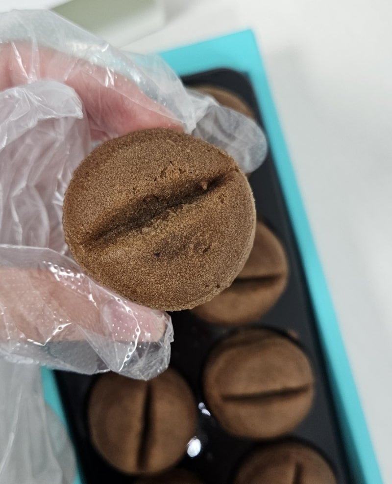 강릉기념품 커피콩빵 호불호 갈릴 맛 강릉커피콩빵 강릉 간식 내돈내산 후기