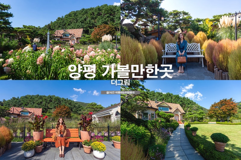 양평 가볼만한곳 가을 꽃구경 양평 카페 수국