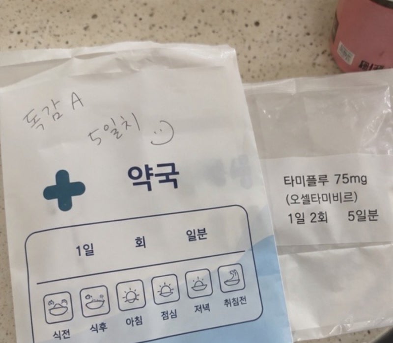 독감걸리면 10만원?( 애둘 동스댁 미니독감보험 총정리)