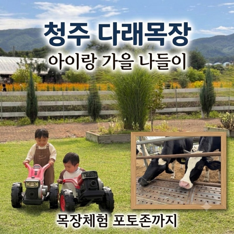 청주 가을 나들이 다래목장, 아이랑 목장체험 포토존까지