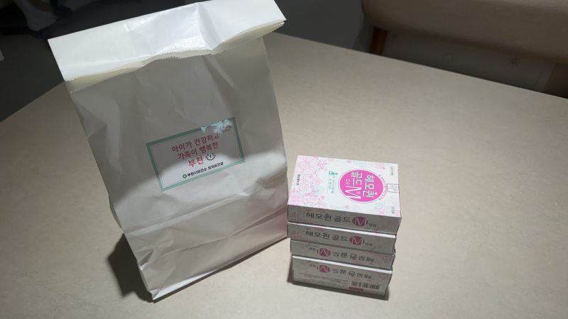 [임신 일기 8ღ] 부천 소사 보건소 임신 중기 철분 수령후기