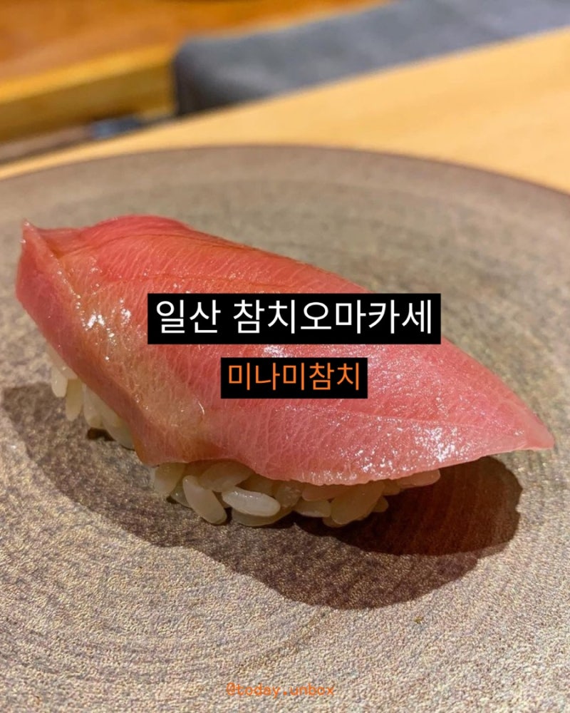 일산 호수공원 참치맛집 미나미참치 후기 | 일산 오마카세 추천