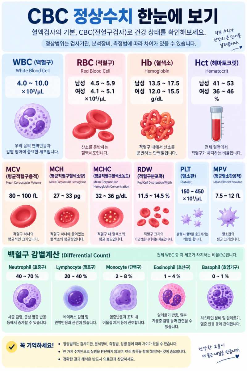 CBC 정상수치 총정리｜WBC·RBC·Hb·PLT 혈액검사 정상범위와 의미